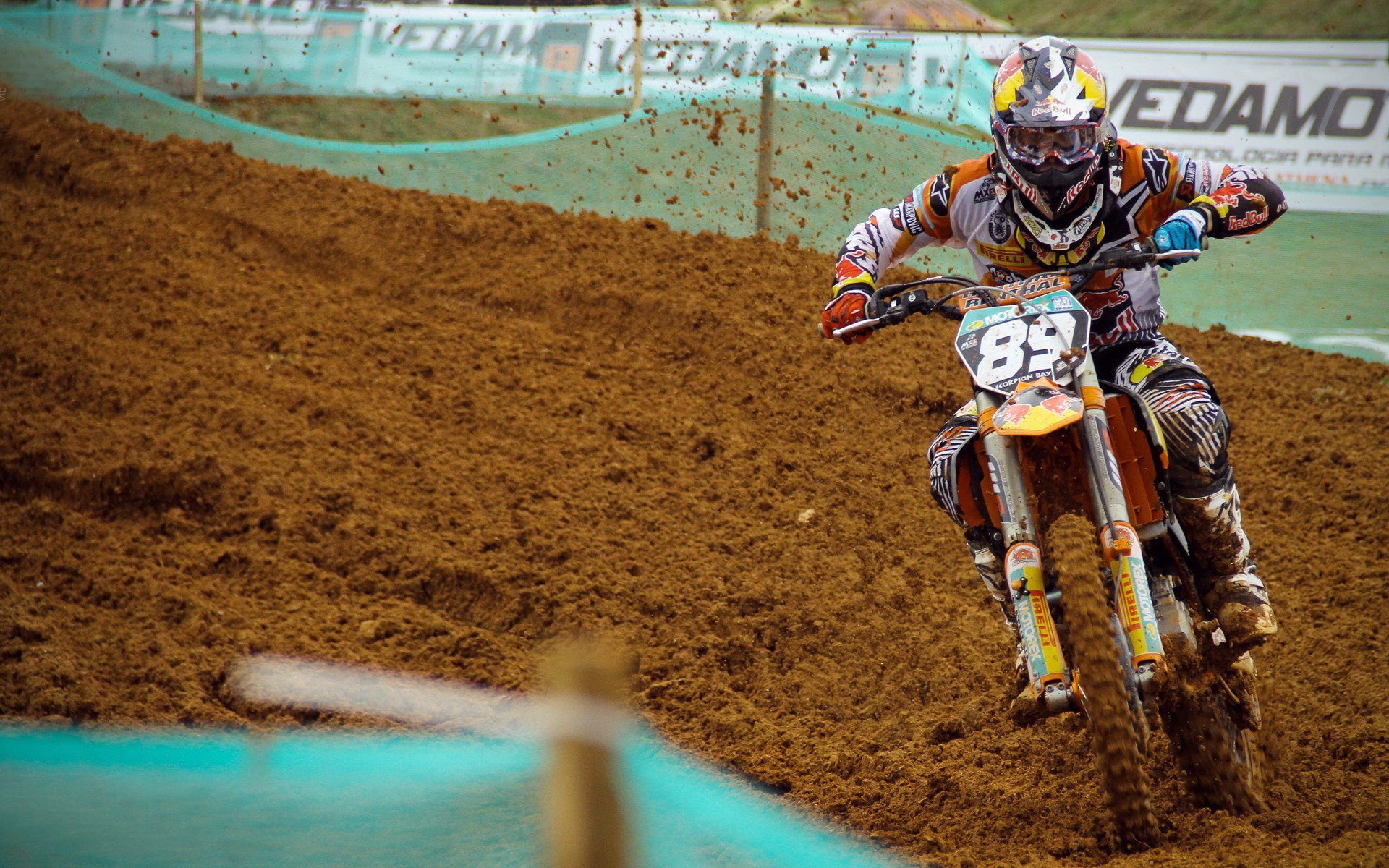 体育文化节成功举办