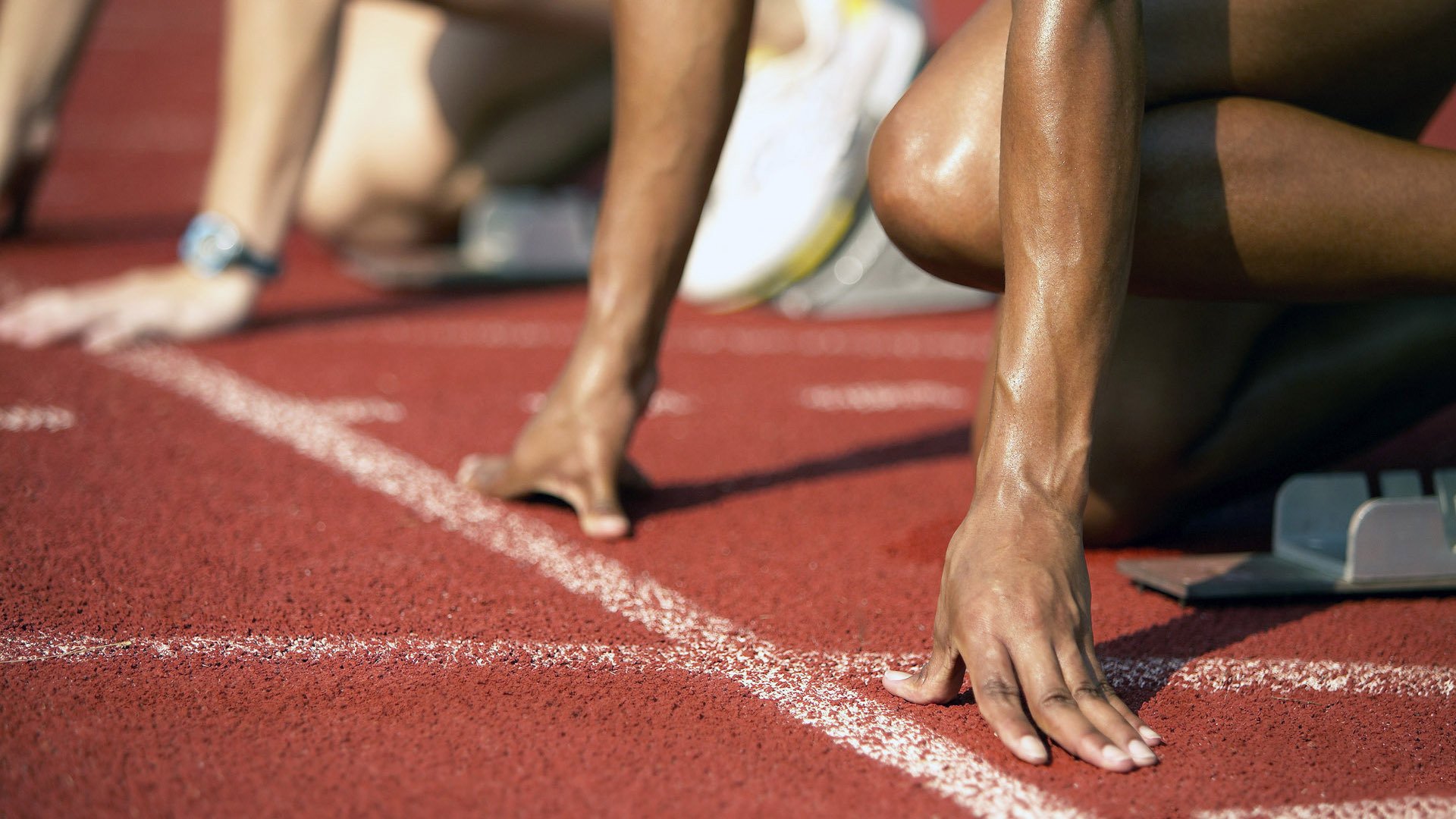 体育赛事门票销售数据报告